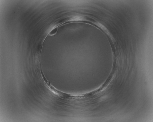 X0000067461337200604071118