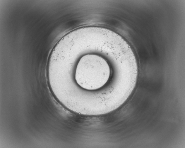 X0000067461338200604071118