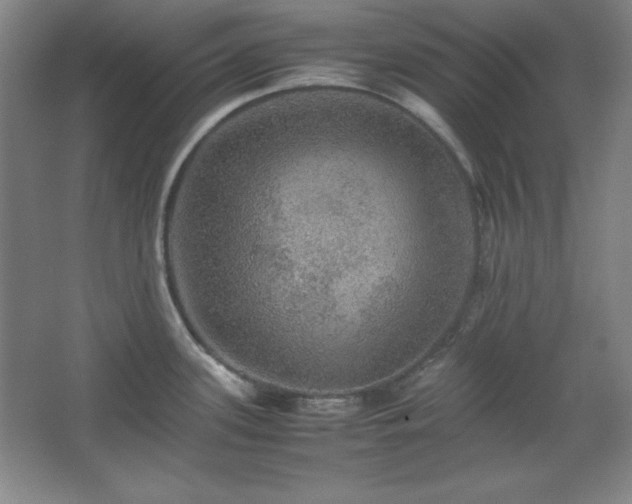 X0000067461339200604071118