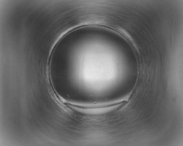 X0000067461340200604071118