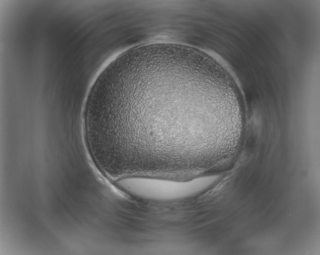 X0000067461341200604071118