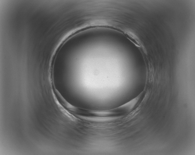 X0000067461342200604071118