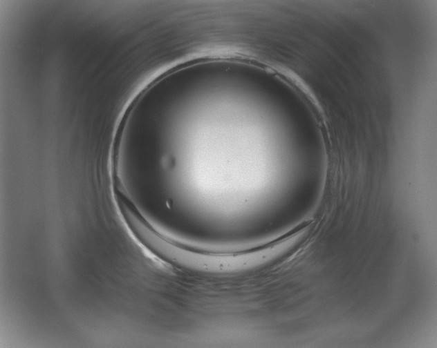 X0000067461343200604071118