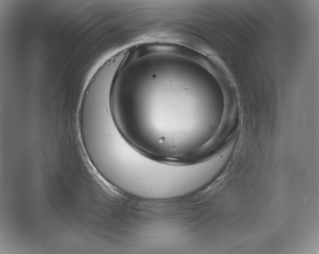 X0000067461344200604071118