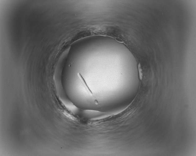 X0000067461345200604071117