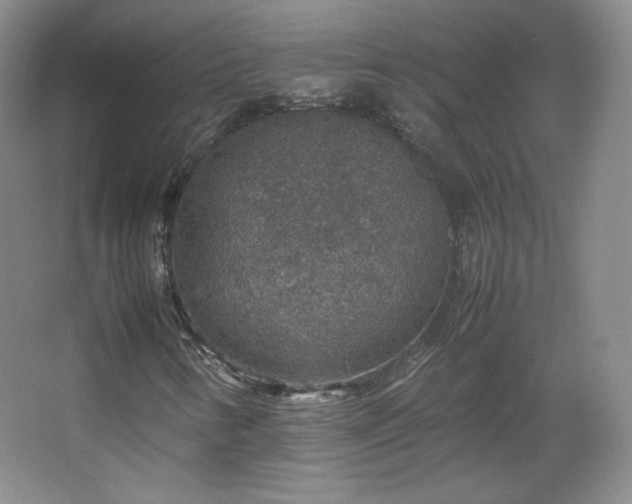 X0000067461346200604071117