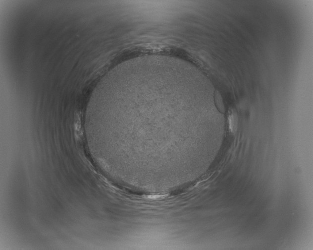 X0000067461347200604071117