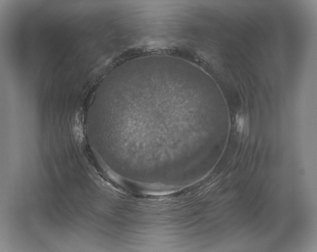 X0000067461348200604071117