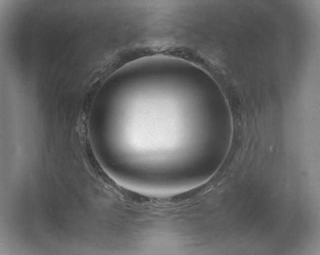 X0000067461349200604071117