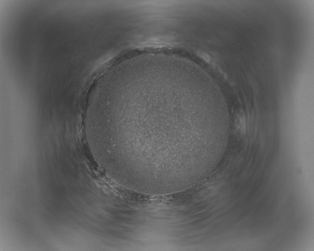 X0000067461350200604071117