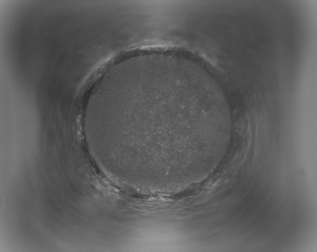 X0000067461351200604071117