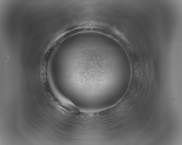 X0000067461352200604071117