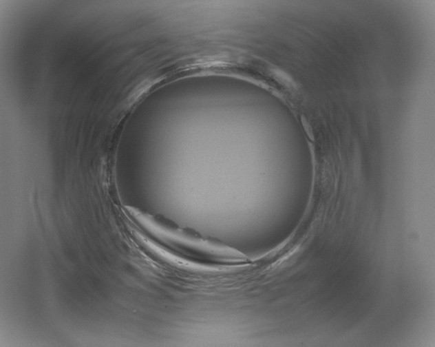 X0000067461353200604071117