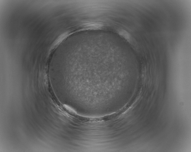 X0000067461354200604071117