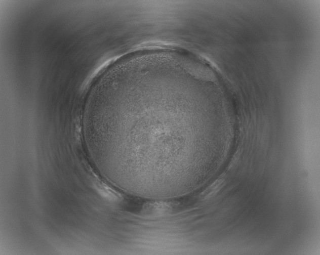 X0000067461355200604071117