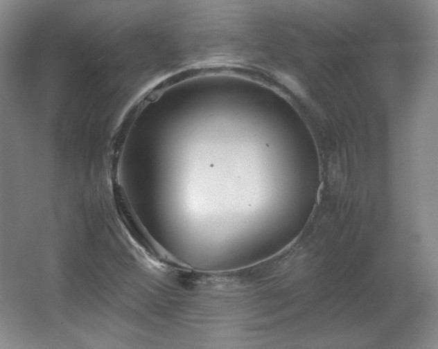 X0000067461356200604071117