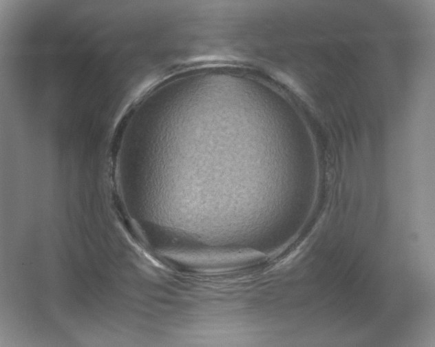 X0000067461357200604071117