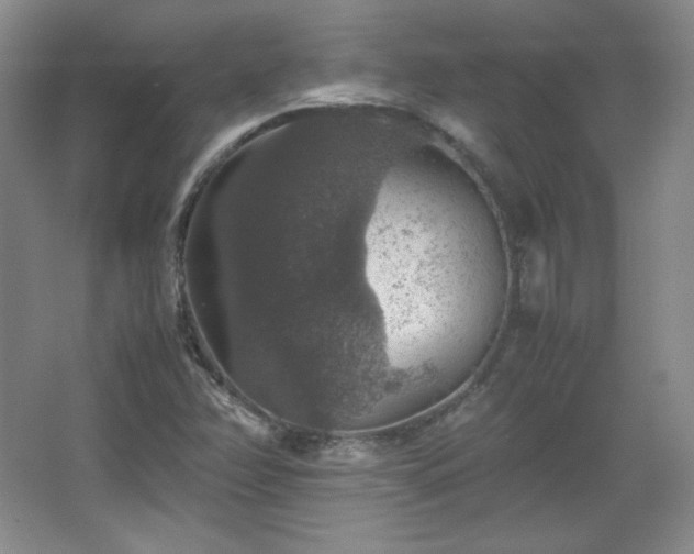 X0000067461358200604071117