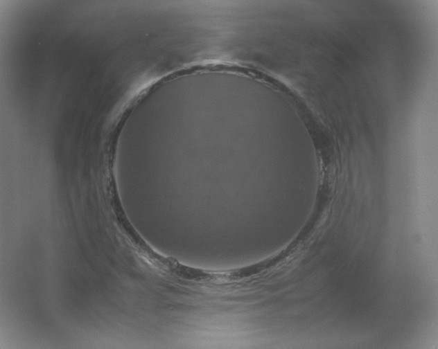 X0000067461359200604071117