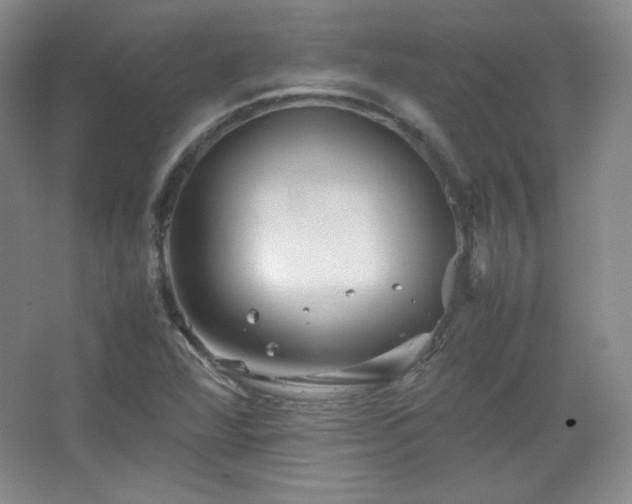 X0000067461360200604071117