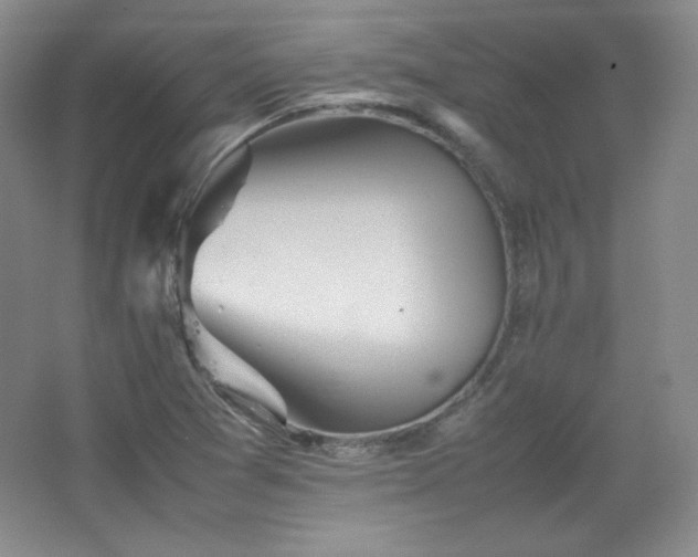 X0000067461361200604071117