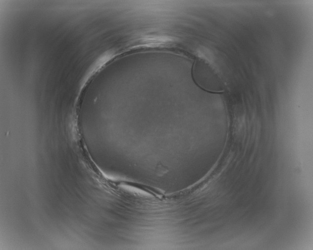 X0000067461362200604071117