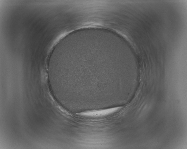 X0000067461363200604071117