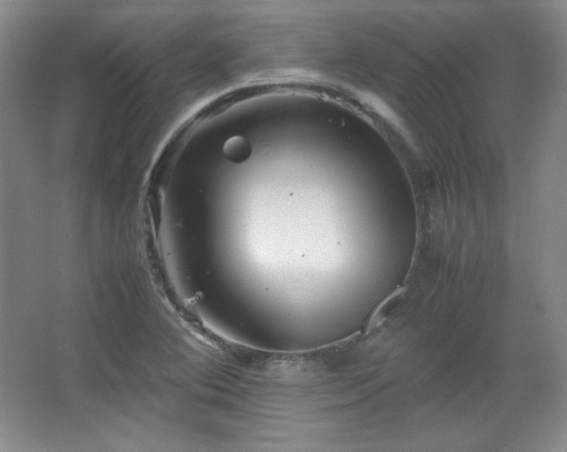 X0000067461364200604071117