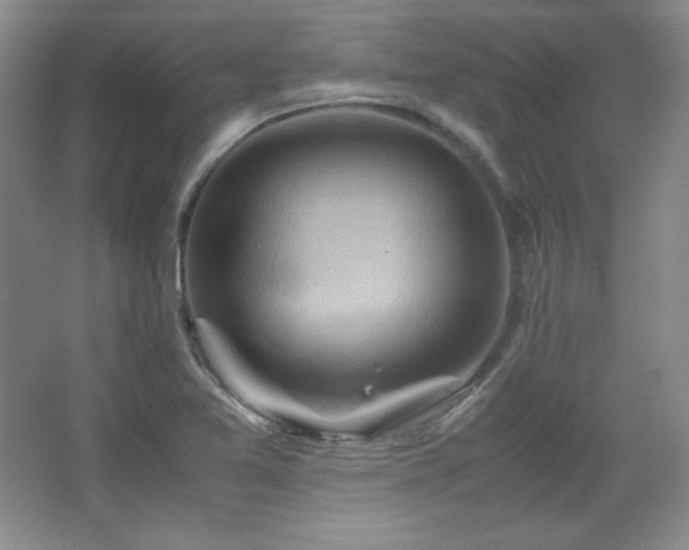 X0000067461365200604071117