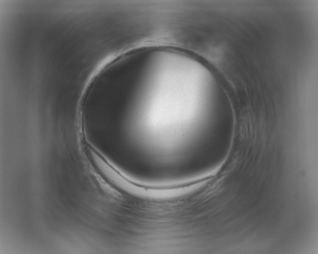 X0000067461366200604071117