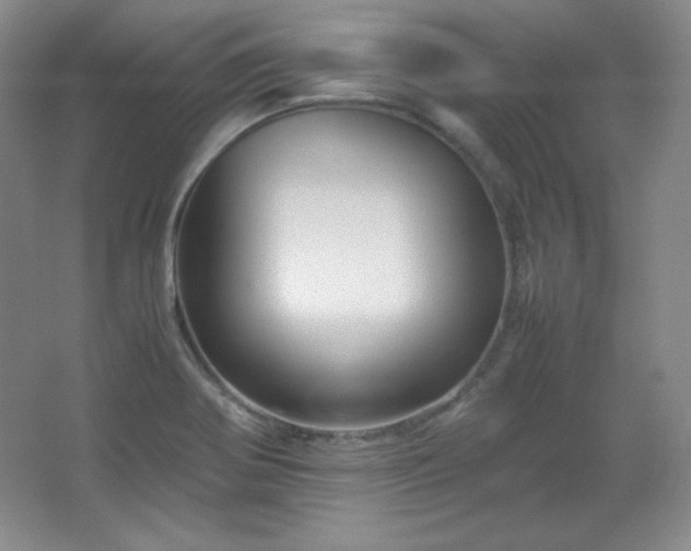 X0000067461370200604071117