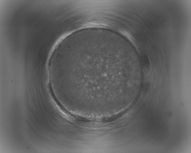 X0000067461371200604071117