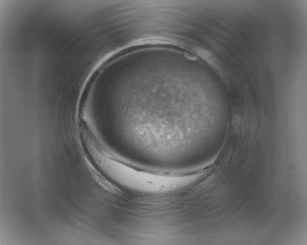 X0000067461372200604071117