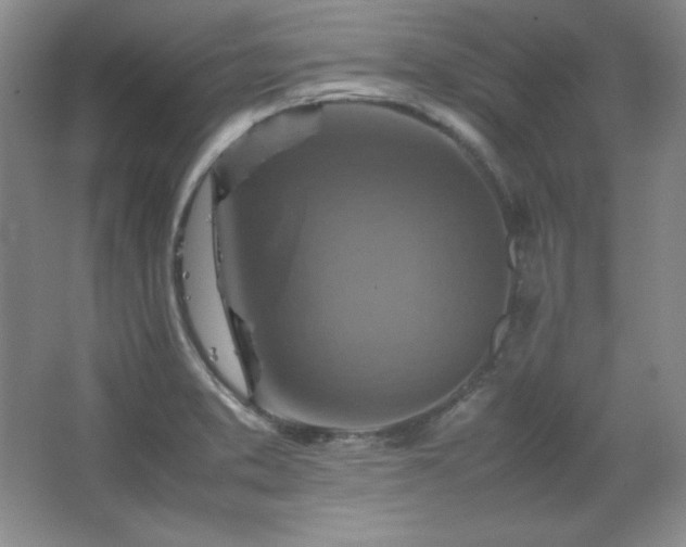 X0000067461373200604071117