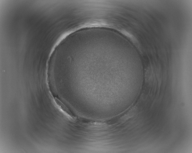 X0000067461374200604071117