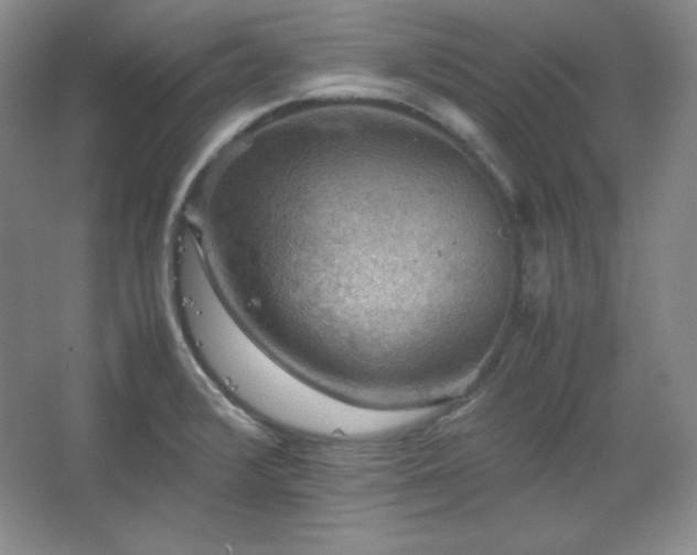 X0000067461376200604071117