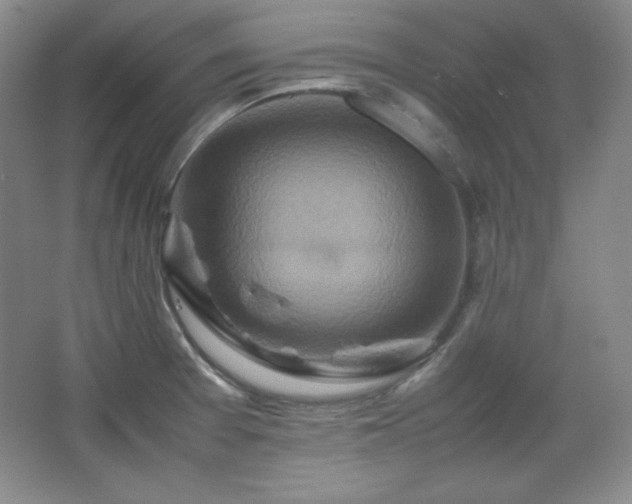 X0000067461377200604071117