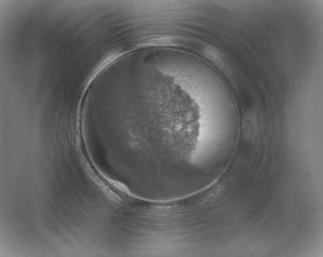 X0000067461378200604071117