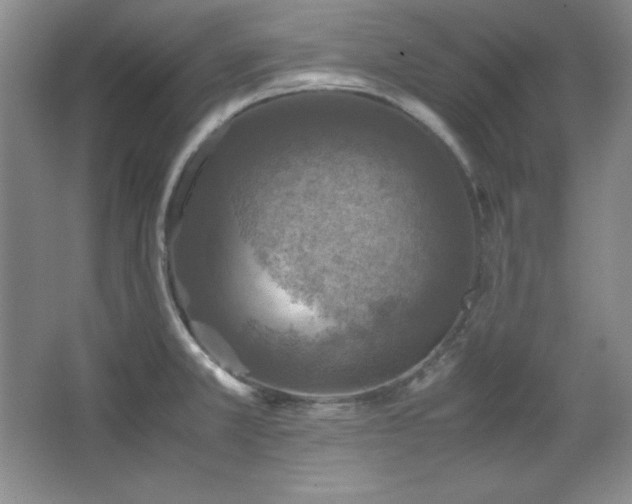 X0000067461381200604071117