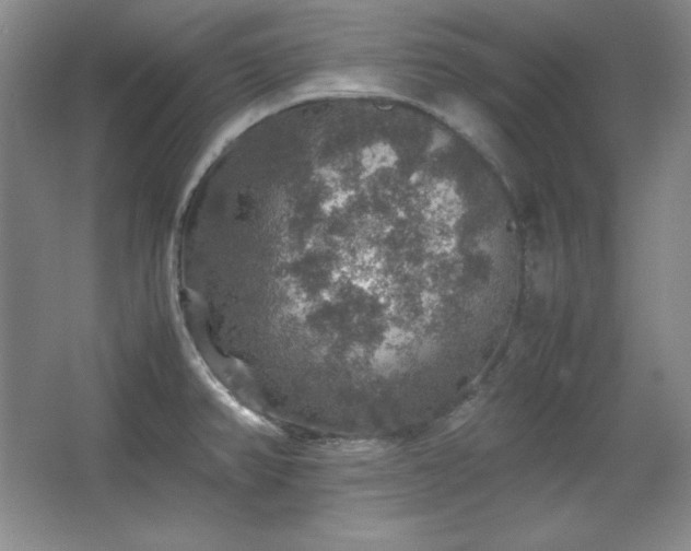 X0000067461382200604071117