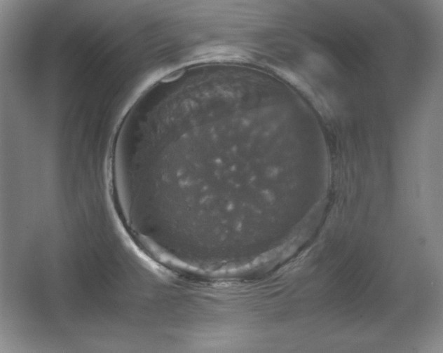 X0000067461383200604071117