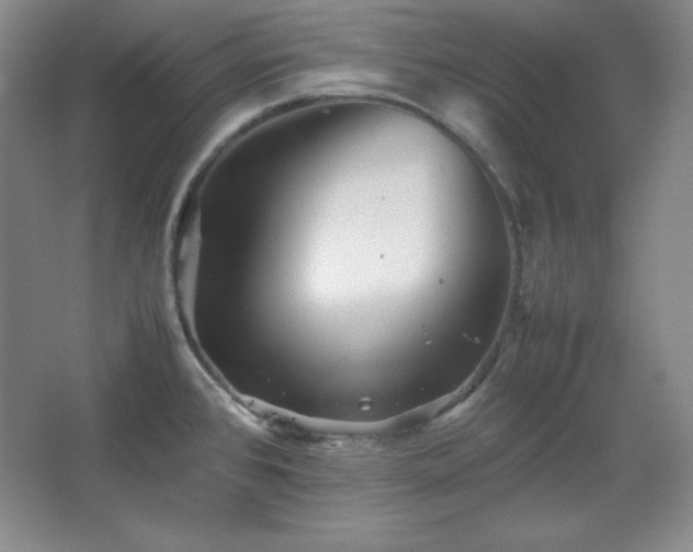 X0000067461384200604071117