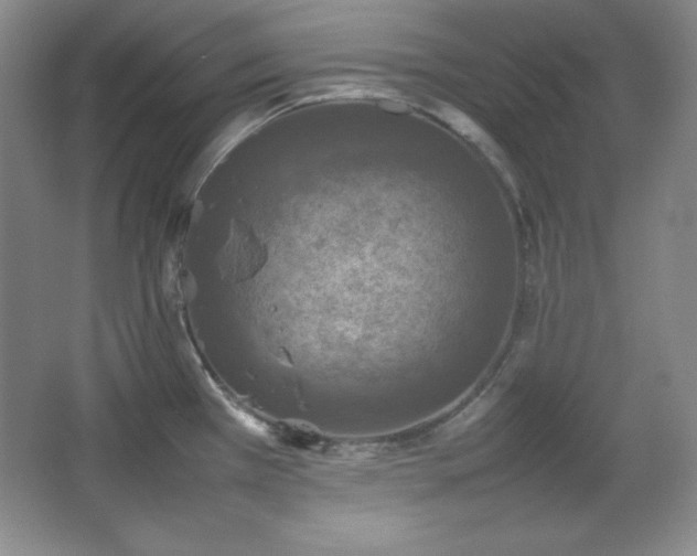 X0000067461385200604071117