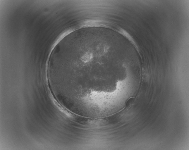 X0000067461386200604071117