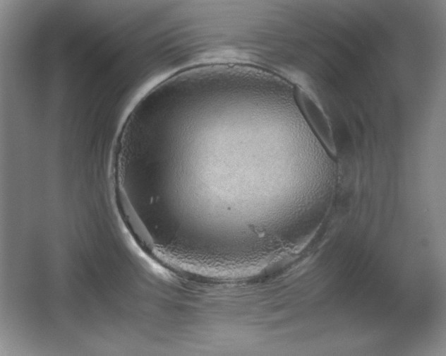 X0000067461387200604071117