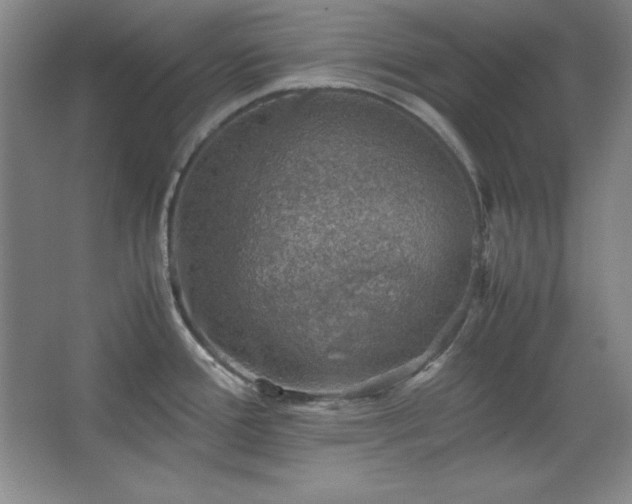 X0000067461388200604071117