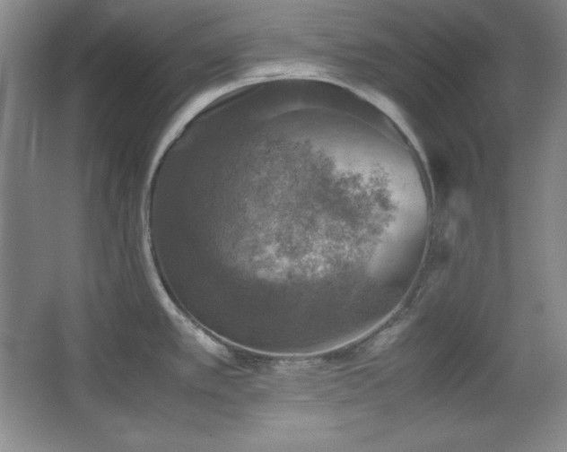 X0000067461389200604071117