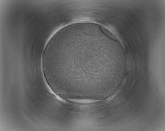 X0000067461390200604071117