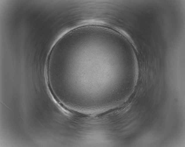 X0000067461391200604071117