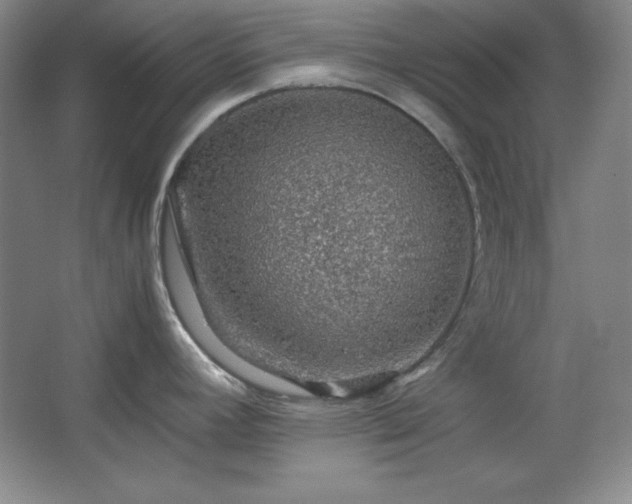 X0000067461392200604071117